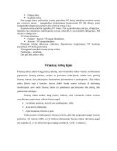 Finansų rinkų tipai 8 puslapis