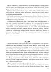 Finansų sistema Lietuvoje 17 puslapis