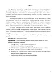 Finansų sistema Lietuvoje 5 puslapis