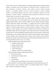 Finansų sistema Lietuvoje 10 puslapis