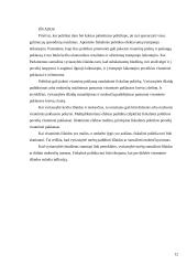 Fiskalinė vyriausybės politika 12 puslapis