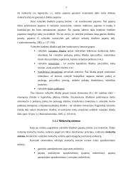 Fiskalinės politikos esmė, tikslai ir įgyvendinimo problemos 5 puslapis