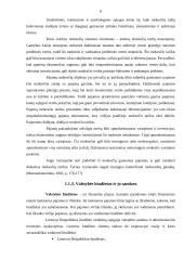 Fiskalinės politikos esmė, tikslai ir įgyvendinimo problemos 6 puslapis