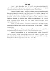 Frančizės sutarties samprata 2 puslapis