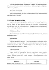 Frančizės sutarties samprata 11 puslapis