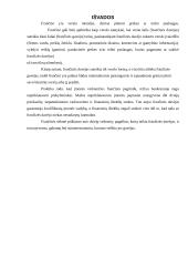 Frančizės sutarties samprata 13 puslapis