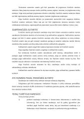 Frančizės sutarties samprata 5 puslapis
