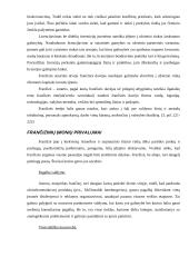 Frančizės sutarties samprata 10 puslapis
