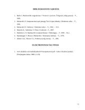 Galia ir vertybės Niccolo Macchiavelli teorijoje 12 puslapis