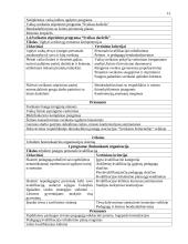 Galimybių studija lopšelio-darželio "Voveraitė" 11 puslapis