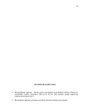 Galimybių studija lopšelio-darželio "Voveraitė" 13 puslapis