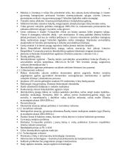 Galimybių studija lopšelio-darželio "Voveraitė" 3 puslapis