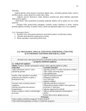 Galimybių studija lopšelio-darželio "Voveraitė" 9 puslapis