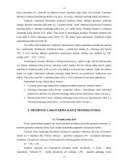 Gamybos kaštų pagrindai 14 puslapis