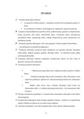 Gamybos kaštų pagrindai 19 puslapis