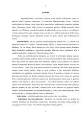 Gamybos kaštų pagrindai 3 puslapis