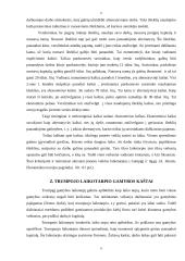 Gamybos kaštų pagrindai 6 puslapis