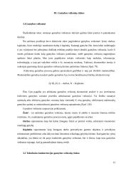 Gamybos veiksnių rinka 13 puslapis