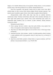 Gamybos veiksnių rinka 17 puslapis