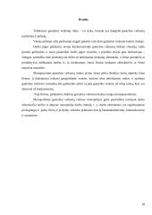 Gamybos veiksnių rinka 18 puslapis