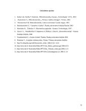 Gamybos veiksnių rinka 19 puslapis