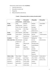 Gamybos veiksnių rinka 6 puslapis