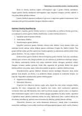 Gamtinė aplinka 4 puslapis