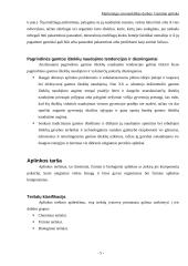 Gamtinė aplinka 5 puslapis