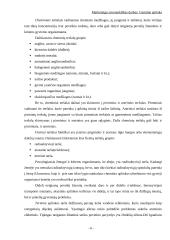 Gamtinė aplinka 6 puslapis