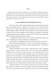 Geležinkelių transporto keliai ir terminalai 2 puslapis