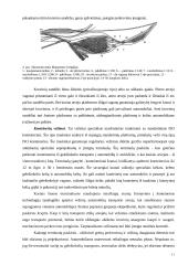 Geležinkelių transporto keliai ir terminalai 11 puslapis