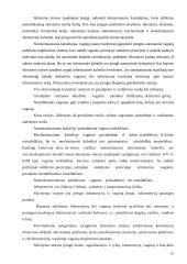 Geležinkelių transporto keliai ir terminalai 16 puslapis