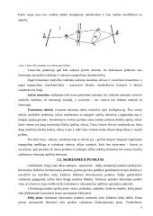 Geležinkelių transporto keliai ir terminalai 6 puslapis