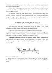 Geležinkelių transporto keliai ir terminalai 8 puslapis