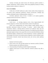 Geografinių informacinių sistemų (GIS) aplikacijų kūrimas mobiliesiems prietaisams 8 puslapis