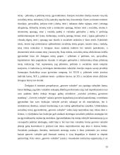 Gerovės valstybės ekonomika. Gerovės valstybės kritika 19 puslapis