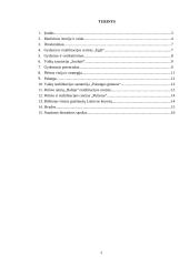 Gydomojo turizmo perspektyvos Lietuvoje 2 puslapis