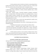 Gydomojo turizmo perspektyvos Lietuvoje 11 puslapis