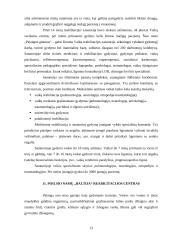 Gydomojo turizmo perspektyvos Lietuvoje 13 puslapis