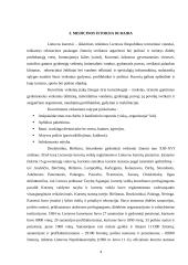 Gydomojo turizmo perspektyvos Lietuvoje 4 puslapis