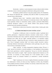 Gydomojo turizmo perspektyvos Lietuvoje 7 puslapis