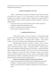 Gydomojo turizmo perspektyvos Lietuvoje 9 puslapis