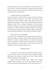 Gyvenimas be naftos 16 puslapis