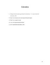 Globali prekyba, globalinės rinkos 13 puslapis