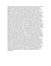 Globalinio klimato atšilimo pasekmės 6 puslapis