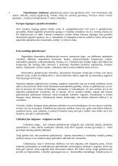 Globalizacijos reikšmė, raida ir įtaka 3 puslapis