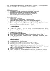 Globalizacijos reikšmė, raida ir įtaka 4 puslapis