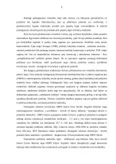 Globalizacija ir Lietuvos ekonominė politika 4 puslapis