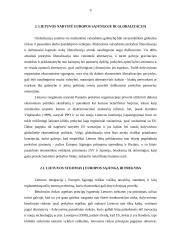 Globalizacija ir Lietuvos ekonominė politika 9 puslapis