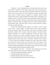 Globalizacijos įtaka Lietuvos švietimo kaitai 2 puslapis